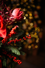 Букет Рождественская звезда