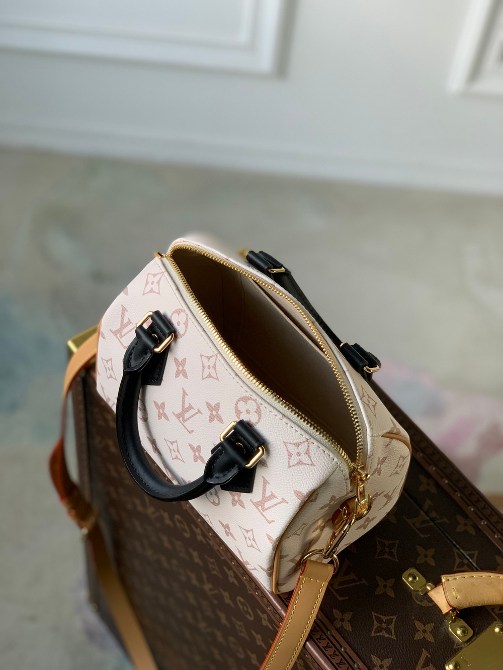 Louis Vuitton Speedy 20