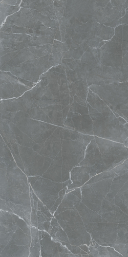 SHAKESPEARE SENIOR GREY