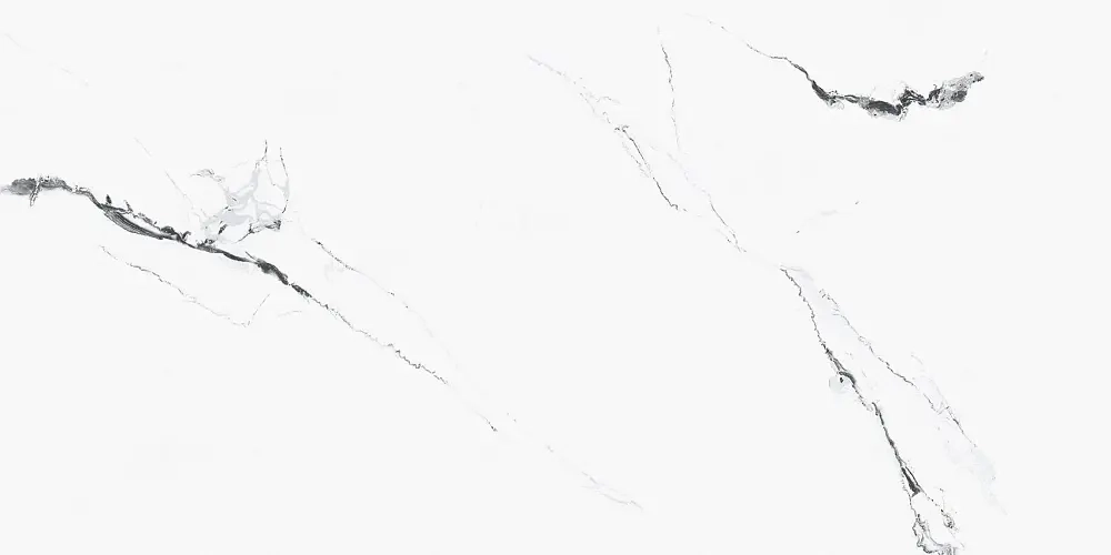 Керамогранит Primavera Videl Bianco Polished 60x120 см (PR222)