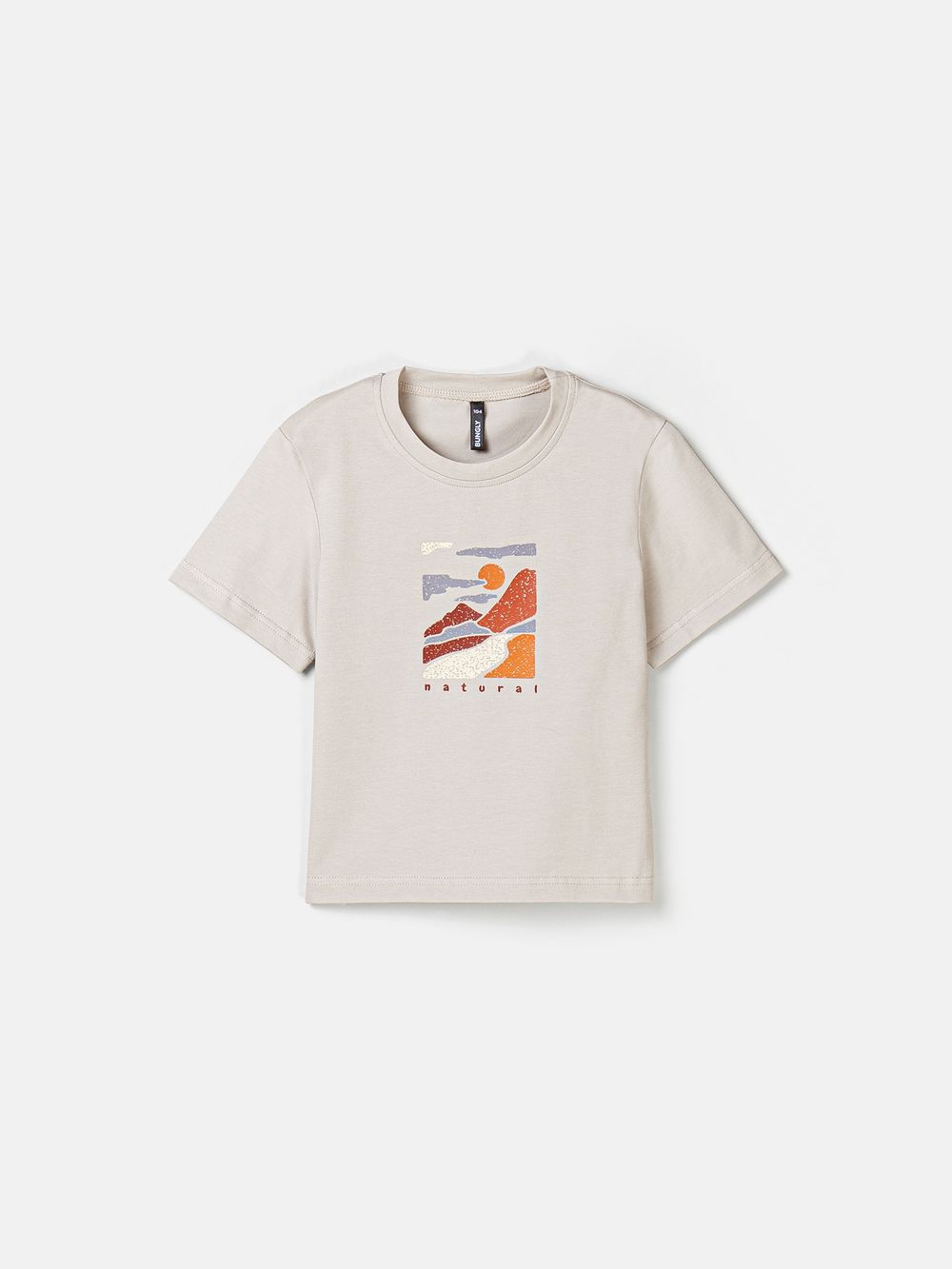 предметное