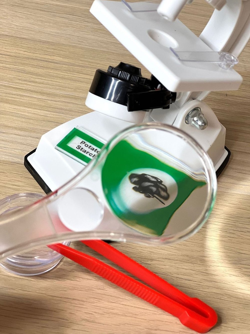 Игровой набор Микроскоп ученого (201757311)