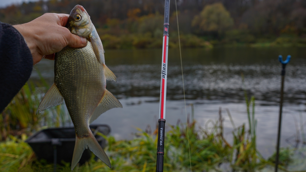 Секция № 2 к удилищу фидер "Volzhanka Atlas" 4.2м 120+гр