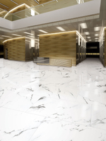 NT Ceramic Bright And Shiny BB612NTT9100P 60x120