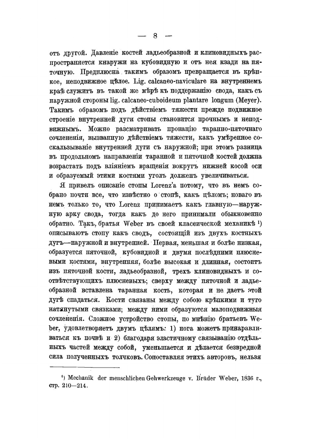 Материалы к изучению архитектуры стопы. Анатомическое исследействиях | Кадьян Александр Александрович