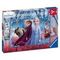 Puzzle DFZ Reise ins Ungewisse 2x12 pcs