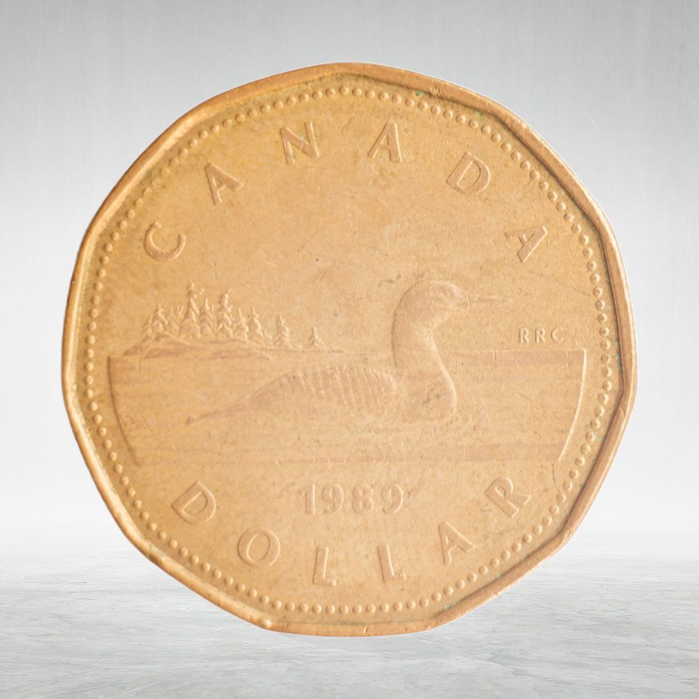 Canada, 1 Dollar, 1989 – Elizabeth II (Second Portrait), VF
