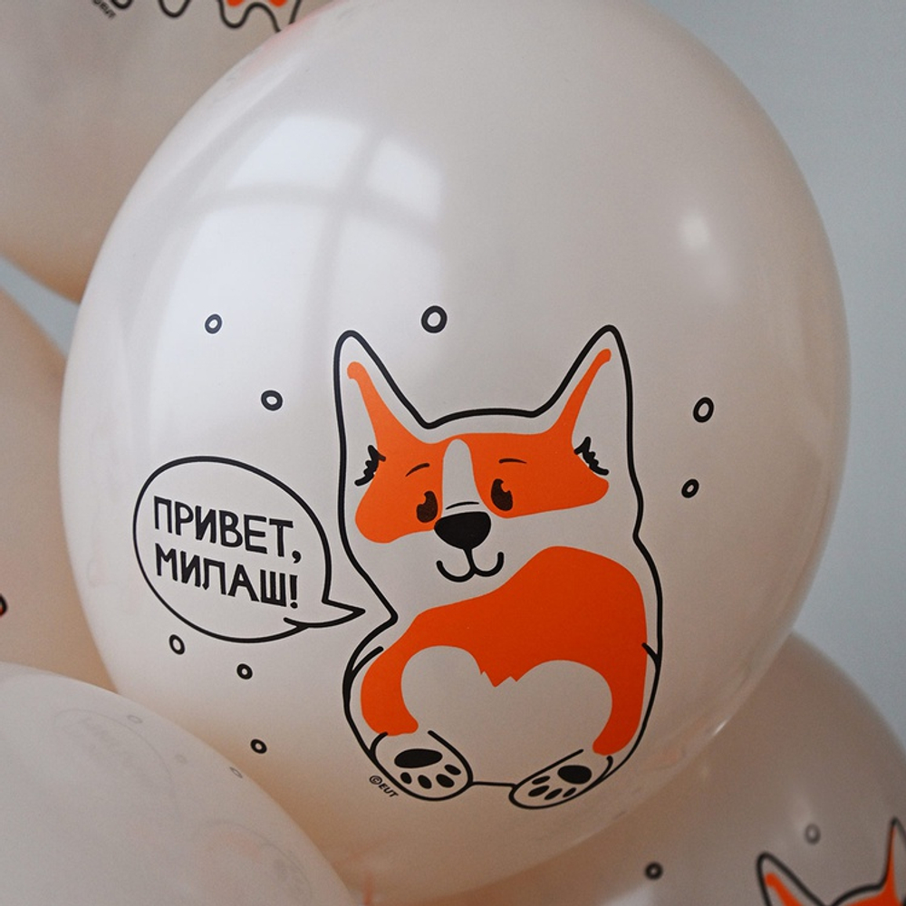 Латексный шар «С ДР! Корги», 36 см