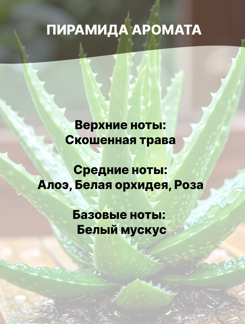 Отдушка Алоэ-вера 50 гр