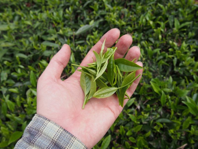 Пост про три ДА!