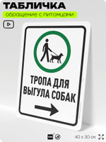 Табличка "Тропа для выгула собак" на дверь и забор, для двора, дома, подъезда, 40х30 см, Silver Plane x Айдентика Технолоджи