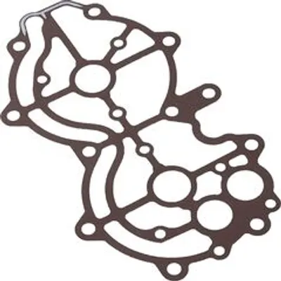Прокладка крышки головки Yamaha 66T11193A300