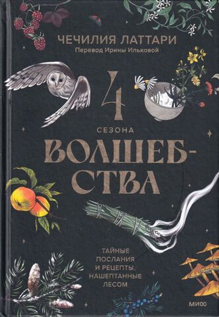 Четыре сезона волшебства. Тайные послания и рецепты, нашептанные лесом