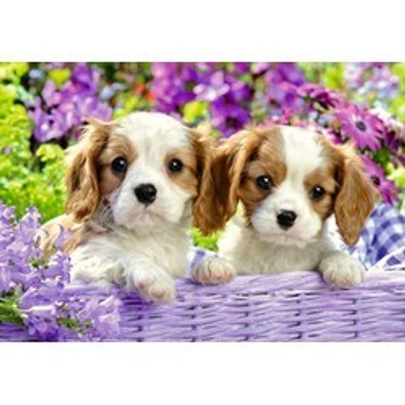 Puzzle Me and my pal 2x24 pcs