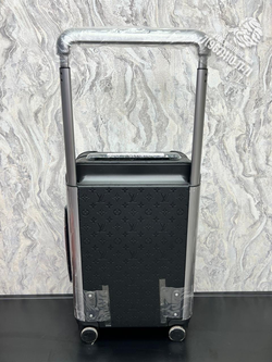 Дорожный чемодан Louis Vuitton Horizon