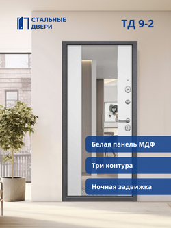 Входная дверь ТД 9-2 Зеркало
