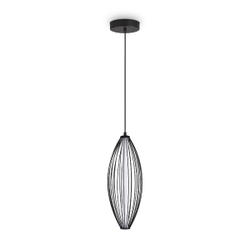 Подвесной светильник Freya Sabi FR6131PL-L24B