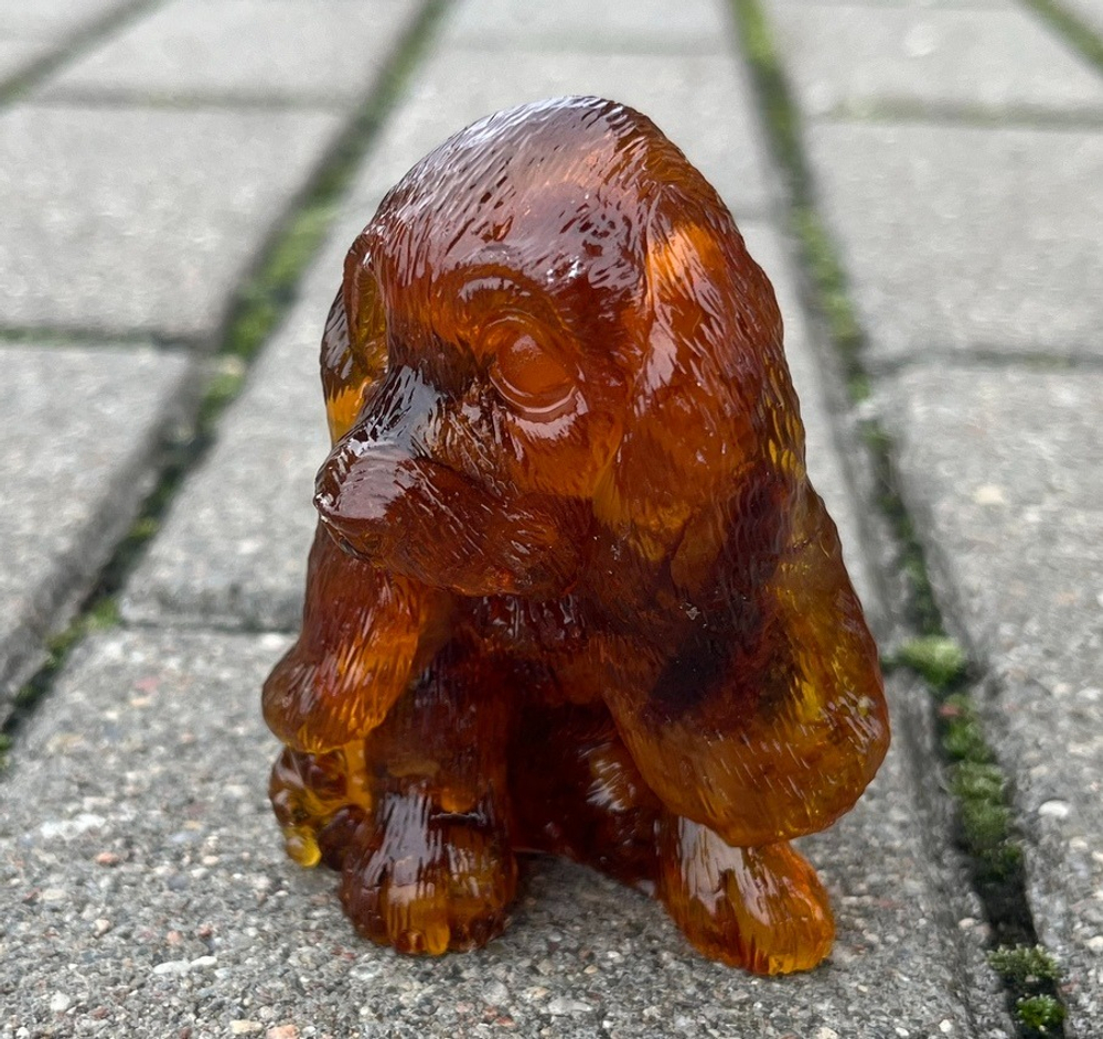 Щенок Бассет-хаунд