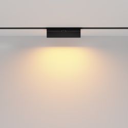 Трековый магнитный светодиодный светильник Maytoni   TR036-2-12W2.7K-B