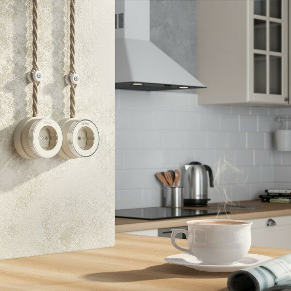 Розетка с заземлением Vintage (слоновая кость матовый/хром)