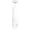 Комплект с подвесным светильником Lightstar Rullo (216496+590086+201486) RP649686