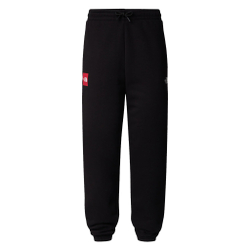 Брюки спортивные мужские THE NORTH FACE U AXYS JOGGER
