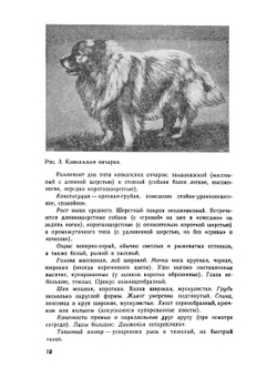 Болезни собак и кошек | С.И. Братюха; И.С. Нагорный