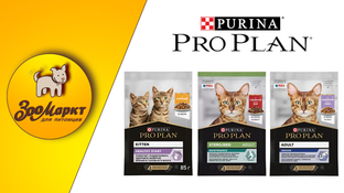 Акция на консервированный корм для кошек «Pro Plan» - 15%