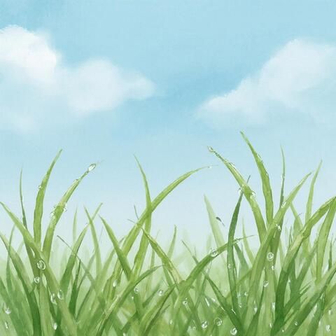 Отдушка Свежесть 50гр