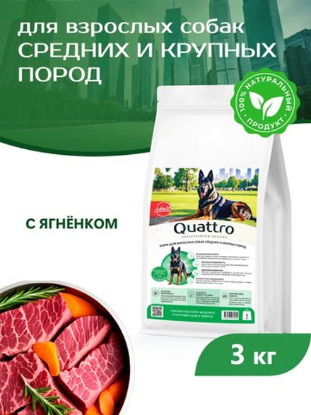 Корм сухой для взрослых собак средних и крупных пород, с ягненком, 3 кг, QUATTRO