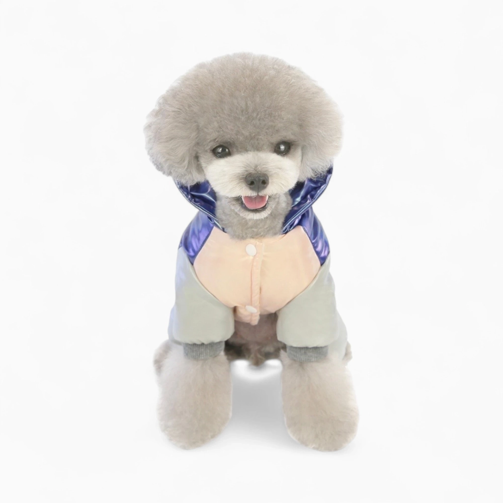 Комбинезон «Модник»