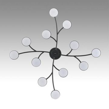8117/12 COMFI LN25 195 черный, металл Люстра LED GX53 12*7W 220V TORINA