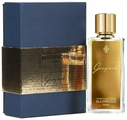 Ganymede Marc-Antoine Barrois
