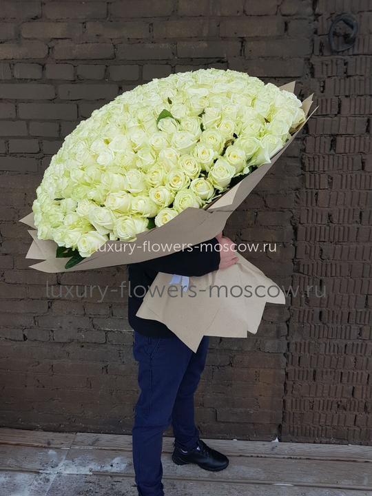 301 белая роза Авалнж