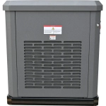 EVOline GNG 13500 E газовый генератор