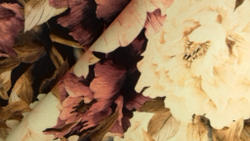 Микровелюр Xpoint / Икспоинт 0076.02 Цветы