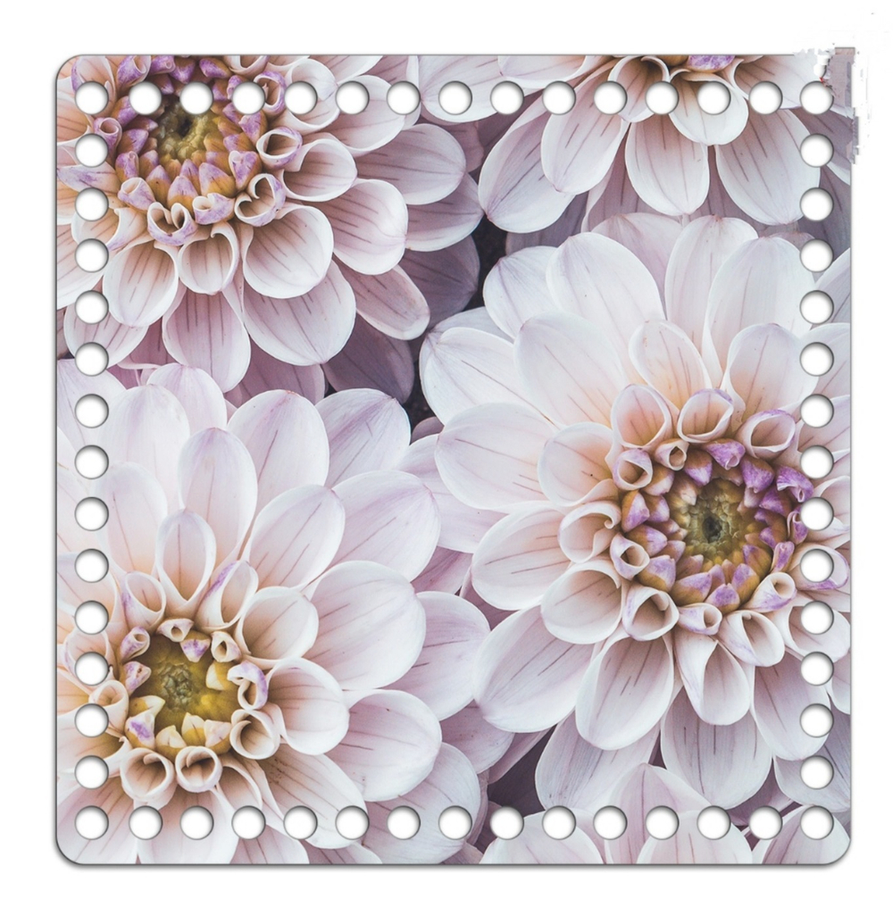 Донышко Принт 20*20