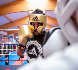 Перчатки боксерские AdiSpeed Metallic золото-серебристо-черные adiSBG501ProM