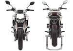 Мотоцикл REGULMOTO Alien Monster 300