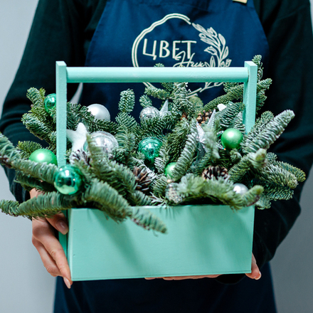 Новогодняя композиция из нобилиса 17