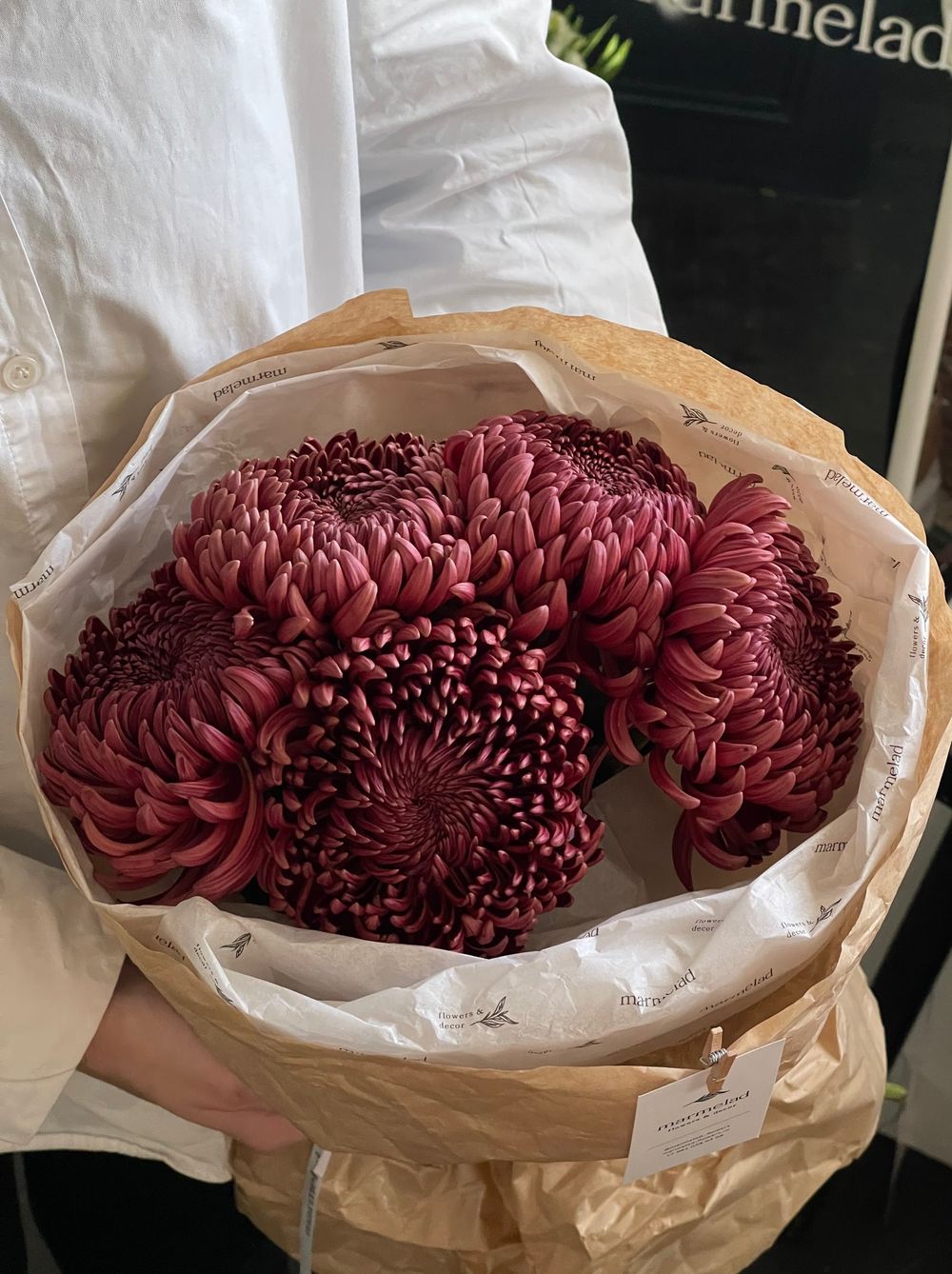 Моно из одноголовой хризантемы бордового оттенка ПОВТОР