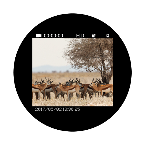 Бинокль ночного видения Veber DigiView NB-02 цифровой