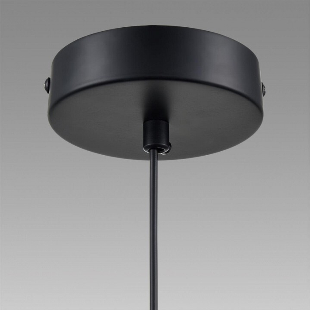 Подвесной светильник Lumion Isha 8101/1A