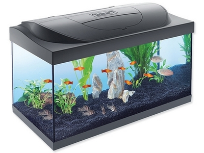 Аквариум Tetra Starter Line LED, 54л