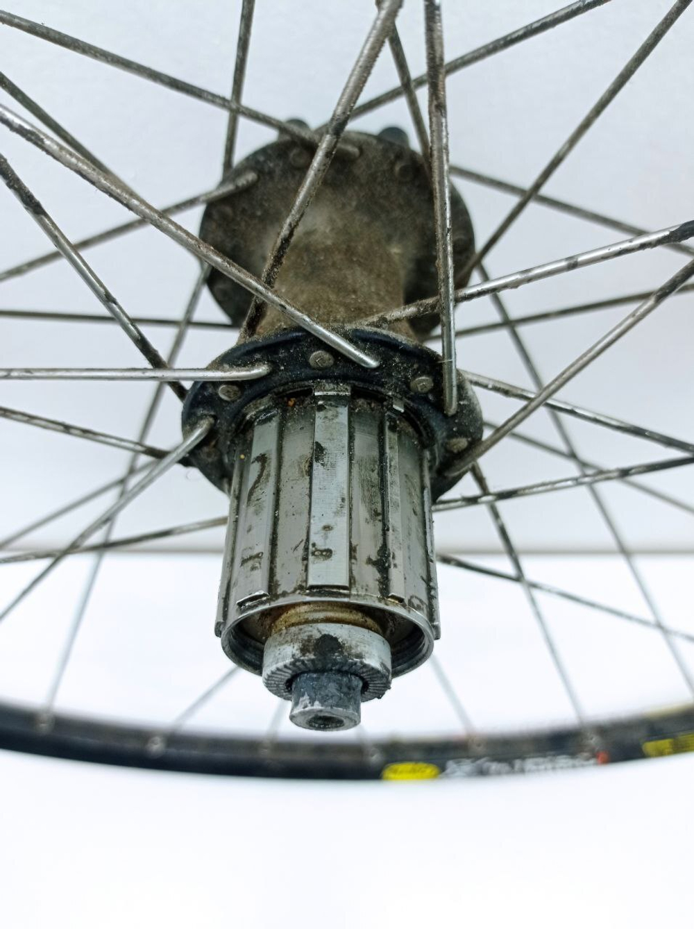 Колесо для велосипеда на ободе Mavic 717 и втулке Hope PRO