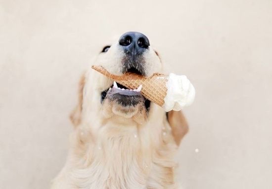 Тепловой удар: скорая помощь