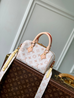 Louis Vuitton Speedy 18