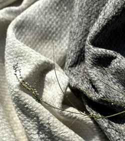 Шенилл Riz / Риз