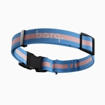 Ошейник Stripes