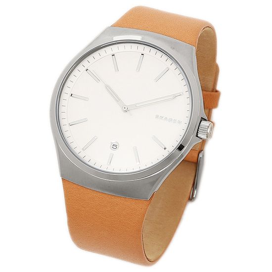 Мужские часы Skagen SKW6261
